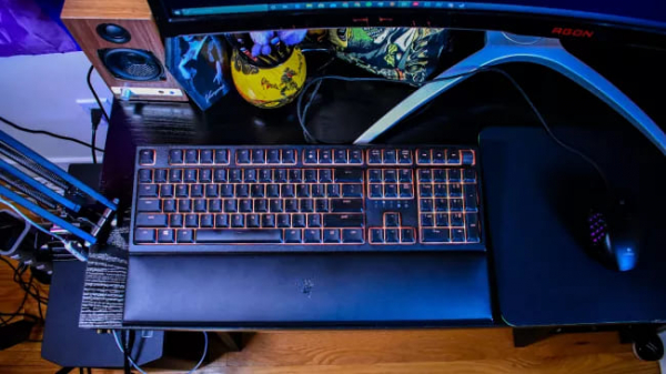 Обзор Razer Ornata V2