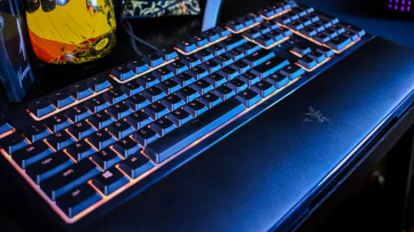 Обзор Razer Ornata V2